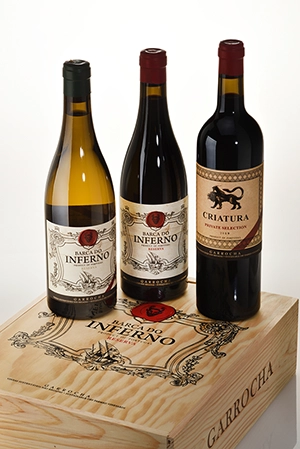 Vinhos Criatura, Barca do Inferno Branco e Barca do Inferno tinto juntos em cima da caixa de madeira personalizada